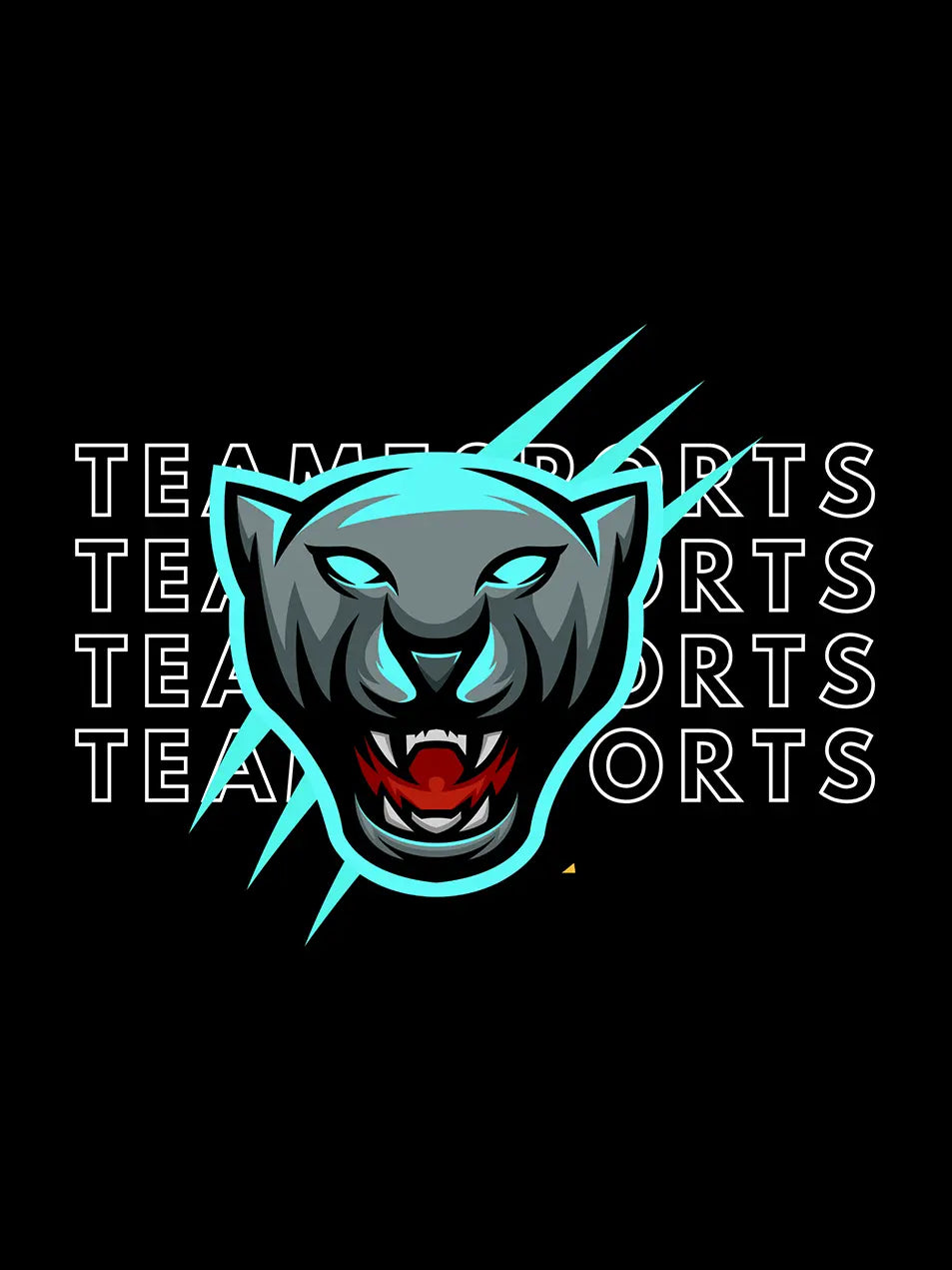 360g NFL Carolina Panthers Wash Old Cotton Hoodie