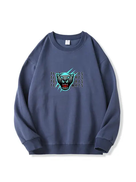 320g NFL Carolina Panthers Football Cotton Sweatshirt Emma Bridess