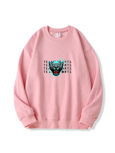 320g NFL Carolina Panthers Football Cotton Sweatshirt Emma Bridess