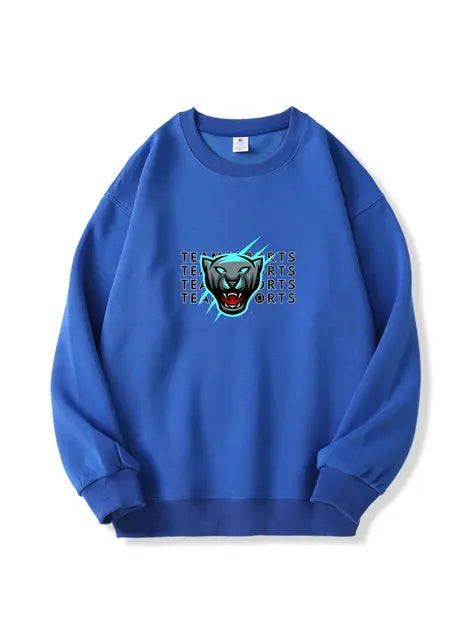 320g NFL Carolina Panthers Football Cotton Sweatshirt Emma Bridess