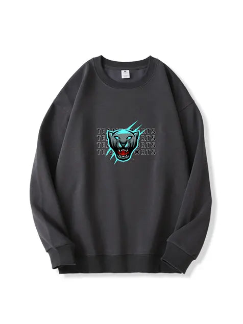 320g NFL Carolina Panthers Football Cotton Sweatshirt Emma Bridess