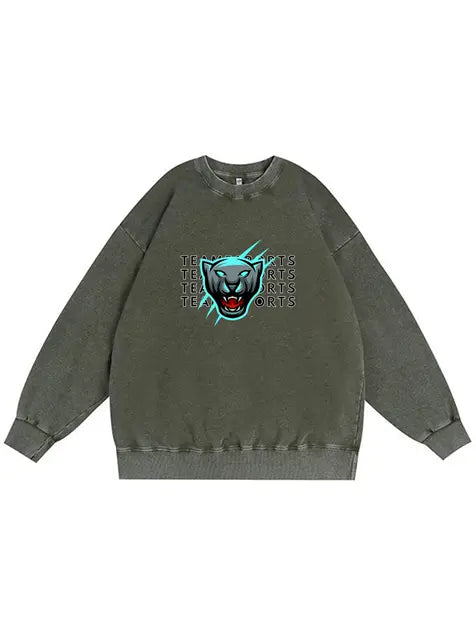 350g NFL Carolina Panthers Wash Old Cotton Sweatshirt Emma Bridess