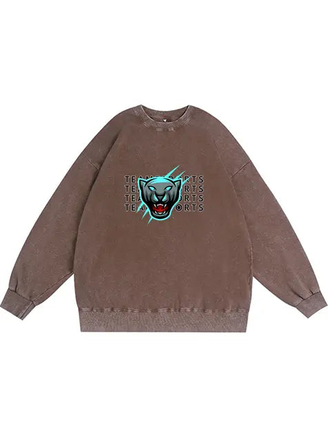 350g NFL Carolina Panthers Wash Old Cotton Sweatshirt Emma Bridess